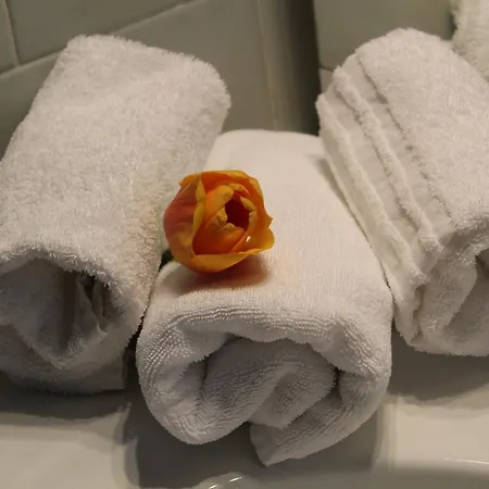 Salus Hotel Salice Terme