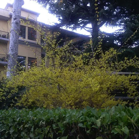 Salus